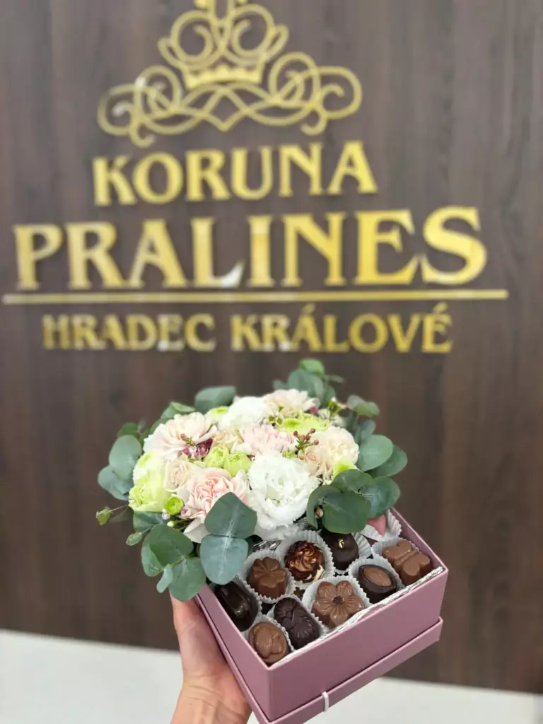 PralinkyHradec-356
